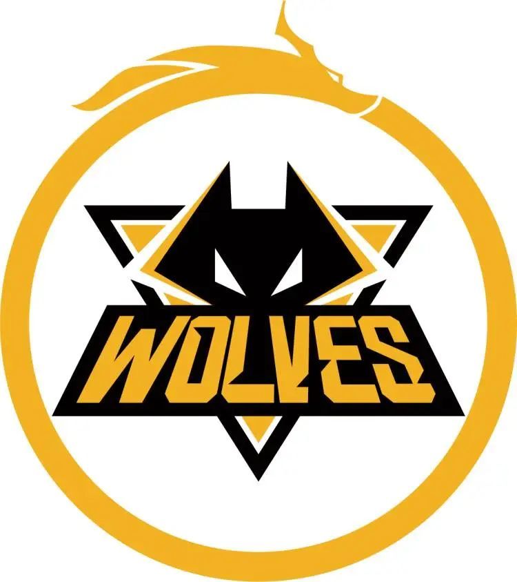 Falcons 击败 GamerLegion 晋级 IEM Melbourne 2025 半决赛