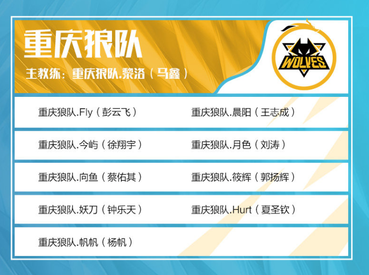 Solokill 加入 Ninjas in Pyjamas 阵容